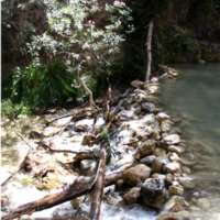 cahorros-rio-chillar-nerja
